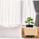 디자인H커튼 이미지