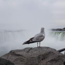 국토보상 행정사 사무소 이미지