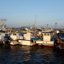 군산 세무서 이미지