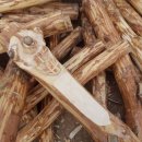 산림놀이 이미지