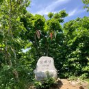 제29차 100명산 인제 방태산 주억봉(1444m) 2026. 7. 26 이미지
