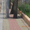 영천성남여자고등학교 이미지