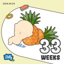 아기옷빨래| |신생아용품소독| |대하구이맛집| |율동공원산책| |환도통증| |방광통증| |임신후기증상|