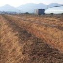 도고농장 이미지