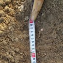 대진목장 이미지