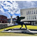 진로세탁 이미지