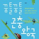곤충왕국