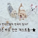 개스트룸 이미지