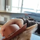 개. 이쁜날 이미지