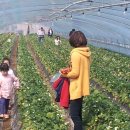 쌍림농장 이미지