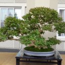 여수시청(시청앞) 이미지