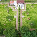 반려동물놀이터 이미지