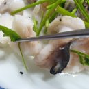 엉터리 아구 네이버블로그