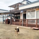 울진솔펜션 이미지