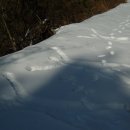 홍곡리공원 Daum카페