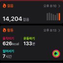 송파나루공원(석촌호수) | 송파나루 공원 석촌호수 데이트