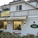 몽땅 포레스트 이미지