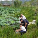 거창-마리-2 이미지