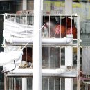 이동농장 이미지