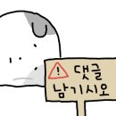 아마레웨딩