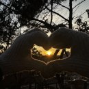 야나기참치 이미지