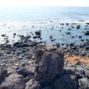 표선환승정류장 이미지