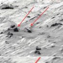 하니빌딩 이미지