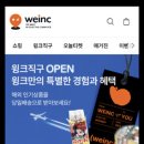 윙크랩