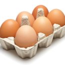 다이어트 PT 헬스 이미지