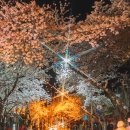 용평사거리 이미지