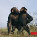 아름다운날들 이미지