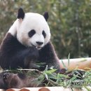 삼성물산㈜에버랜드리조트 이미지