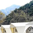 글램핑스테이션 이미지