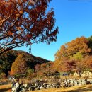 왕방힐링마을 이미지