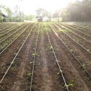 기두농장 이미지