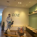 도브의원 이미지