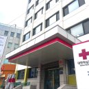 대한기업 | 대한적십자사 기업탐방 후기 | 공공기관 PR과 캠페인 이야기