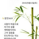 백향 이미지
