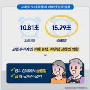 노인 교통 사고가 늘고 있다 이미지