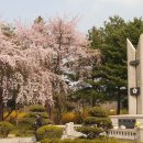 설울 이미지
