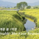 사계음악사 이미지