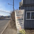 빅독 | 파주 빅독포레스트 | 유기견 보호소 봉사 활동 후기 &amp; 신청 방법