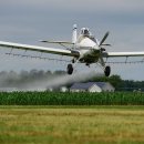 상상농장 이미지