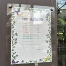 [합정 미용실] 천연 밀본염색으로 손상없이 염색할 수 있는 헤어블러썸 추천