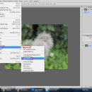 Adobe Photoshop CS6 (한글판) 기초강좌(32) 밀착인화(섬네일 만들기) 이미지