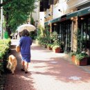 천문한의원 이미지