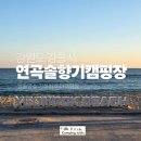 바다와 솔향기 | 강원도 강릉시 일출뷰 바다캠핑장, 연곡솔향기캠핑장