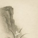 인간-항해일지 이미지