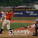 정범모 카카오 검색결과