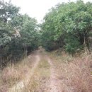 초성3리 마을회관 이미지